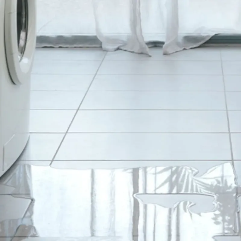 Appliance Leak Cleanup in Logansport, LA