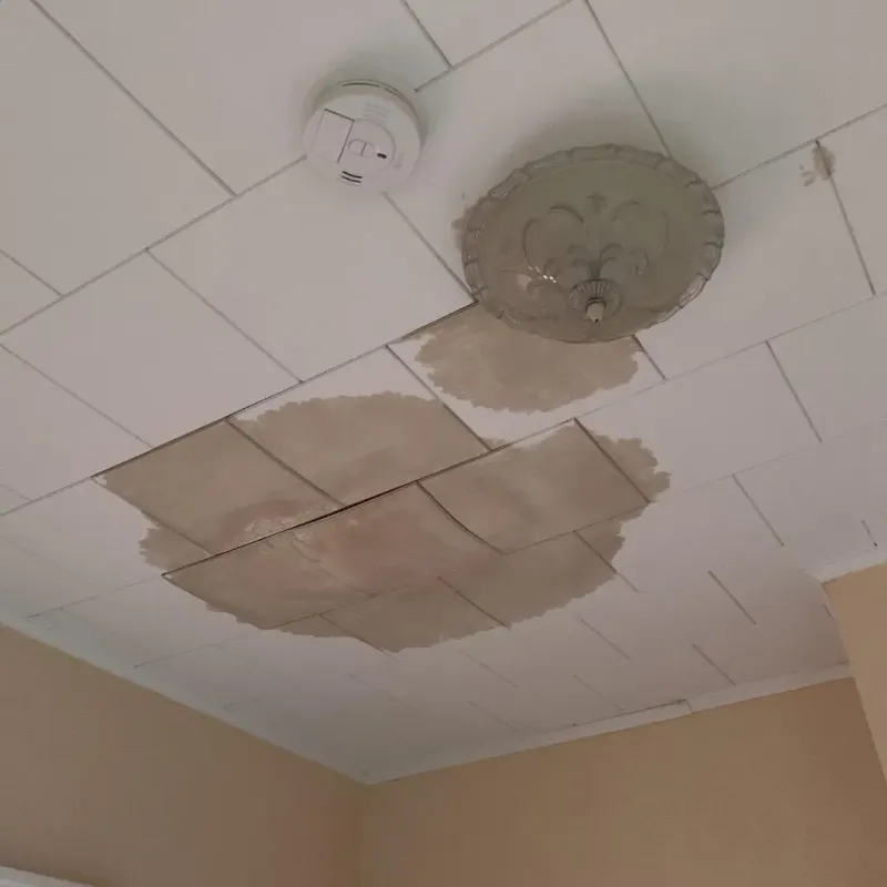 Ceiling Water Damage Repair in Logansport, LA